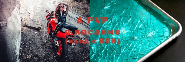 дживик Пересвет