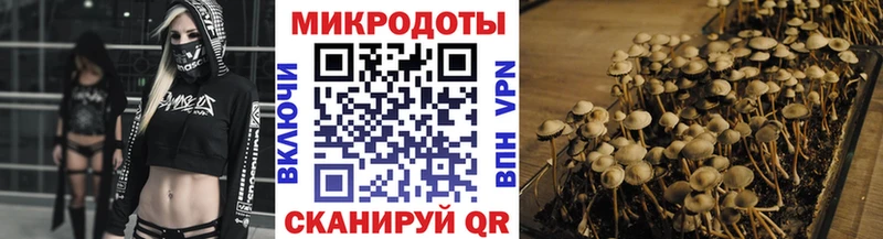 Галлюциногенные грибы MAGIC MUSHROOMS  продажа наркотиков  Йошкар-Ола 