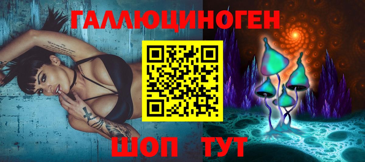 Псилоцибиновые грибы Psilocybine cubensis Йошкар-Ола