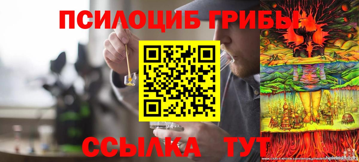 Псилоцибиновые грибы прущие грибы  Галлюциногенные грибы Psilocybine cubensis  Вход с VPN  где можно купить наркотик  Йошкар-Ола 